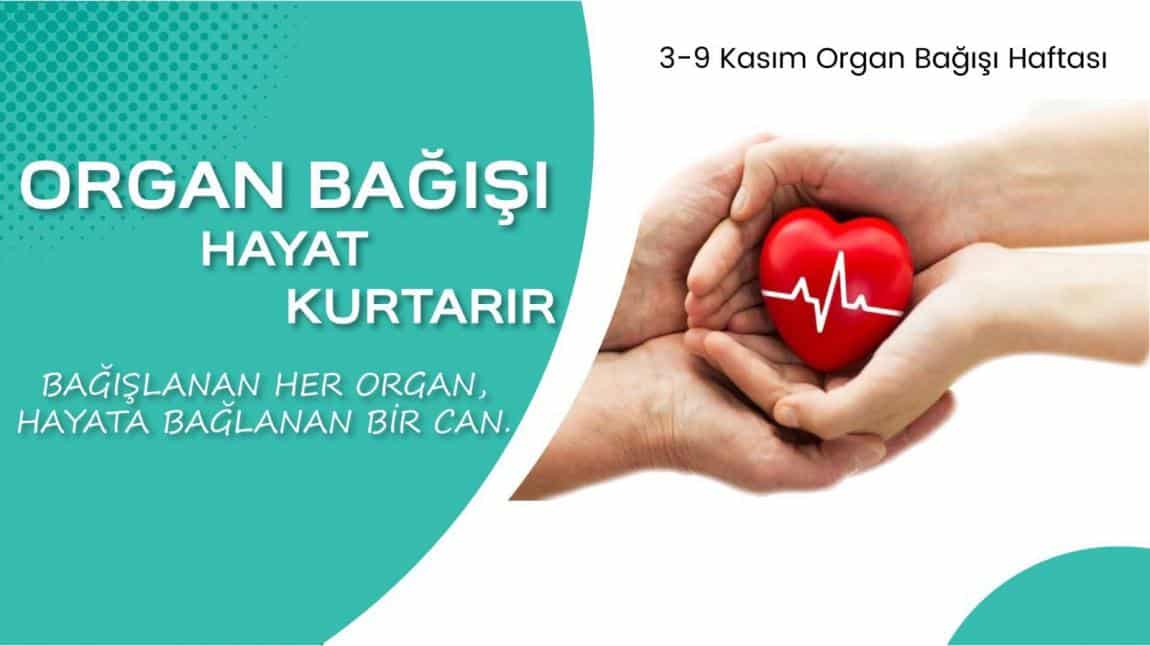 Organ Bağışı Haftası Etkinlikleri Kapsamında Okulumuzda Bilinçlendirme Faaliyeti Yapıldı